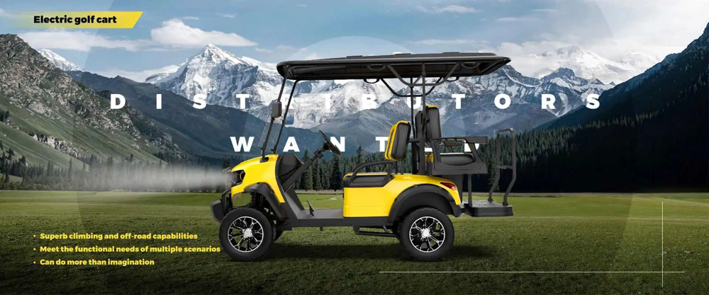 Electrikart electric golf cart